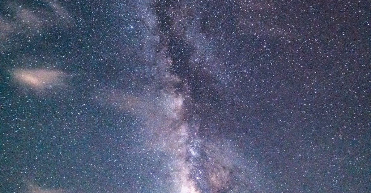 أبرز الفنانين المشاركين في موسم الرياض