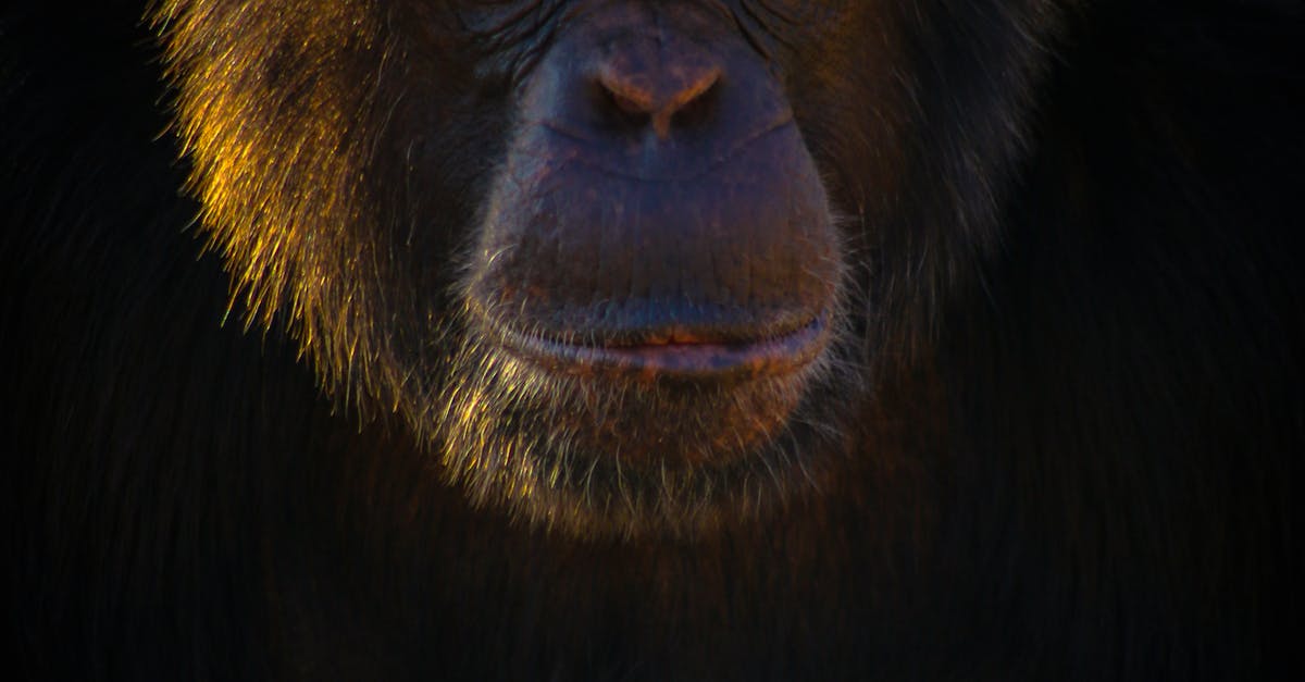 أبرز المعارض الفنية في موسم الرياض 2023