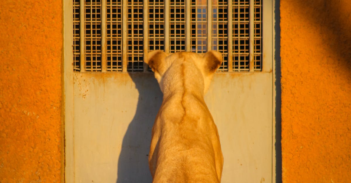 مغامرات سياحية في الطبيعة المحيطة بالرياض
